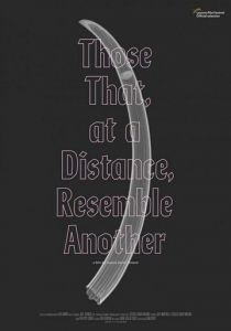 То, что на расстоянии напоминает другое 2019 скачать торрент