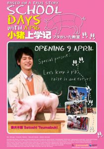 Класс, в котором был поросёнок 2008 скачать торрент