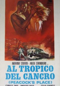 Тропик Рака 1972 скачать торрент