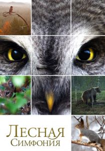 Лесная симфония 2012 скачать торрент