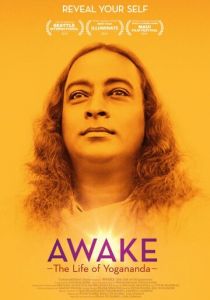 Осознание: Жизнь Йогананды 2014 скачать торрент