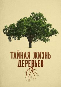 Тайная жизнь деревьев 2020 скачать торрент