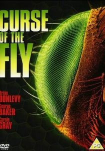 Проклятие мухи 1965 скачать торрентом