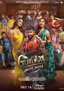 Меня зовут Говинда 2022 скачать торрент