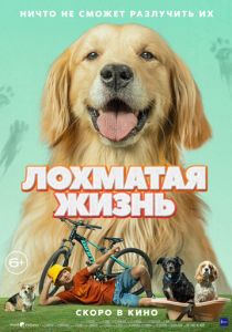 Лохматая жизнь 2023 скачать торрентом