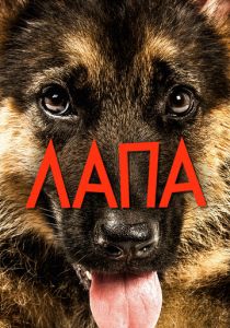 Лапа 2015 скачать торрентом