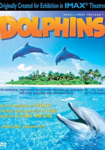 Дельфины 2000 скачать торрент