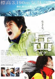 Вершина: Спасатели 2011 скачать торрент