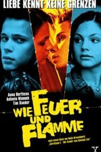 Как огонь и пламя 2001 скачать торрент