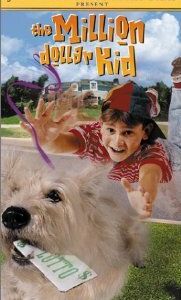 Парнишка-миллионер 2000 скачать торрентом