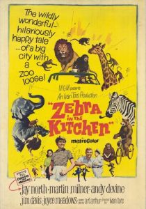 Зебра на кухне 1965 скачать торрент