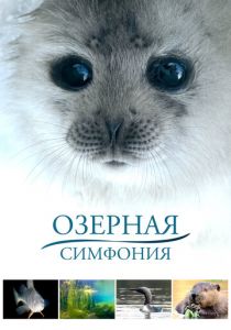 Озерная симфония 2016 скачать торрентом