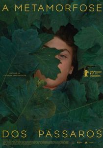 A Metamorfose dos Pássaros 2020 скачать торрент