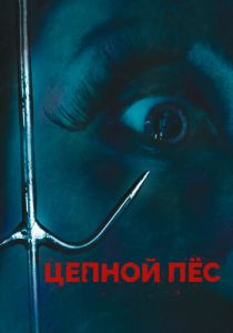 Цепной пес 2010 скачать торрент