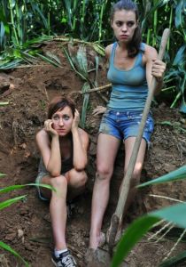 Поля кукурузы 2015 скачать торрент