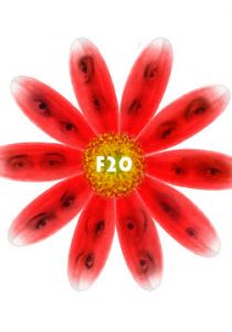 F20 2011 скачать торрентом