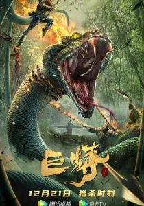 Питон 2021 скачать торрент