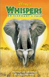 Приключения слона 2000 скачать торрент