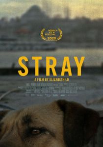 Бродяги 2020 скачать торрент