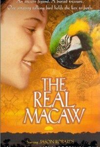 Мак-миллионер 1998 скачать торрентом