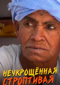 Неукрощенная строптивая 2015 скачать торрент