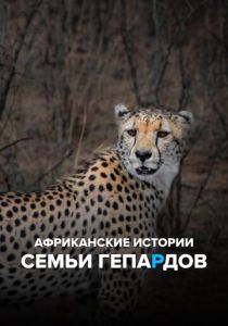 Африканские истории семьи гепардов 2020 скачать торрент