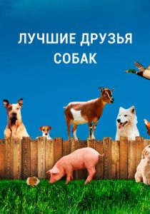 Лучшие друзья собак 2014 скачать торрентом