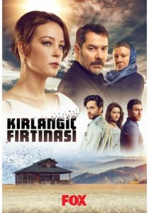 Шторм ласточки 2017 скачать торрентом