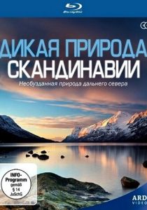 Дикая природа Скандинавии 2011 скачать торрент