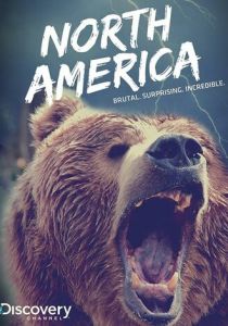 Discovery: Северная Америка 2013 скачать торрент