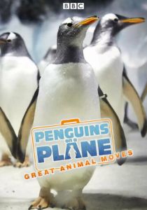 Пингвины на самолете: Передвижение великих животных 2014 скачать торрент