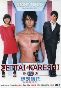 Идеальный парень 2008 скачать торрент