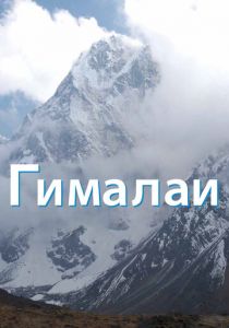 Гималаи 2010 скачать торрент