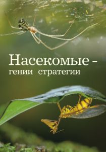 Насекомые - гении стратегии 2021 скачать торрент