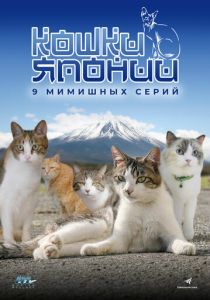 Кошки Японии 2017 скачать торрент