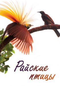 Райские птицы 2014 скачать торрент