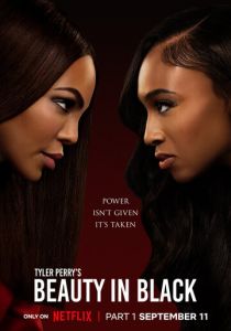 Красота в тёмных тонах 2024 скачать торрент