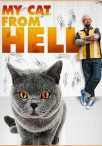 Адская кошка 2011 скачать торрентом