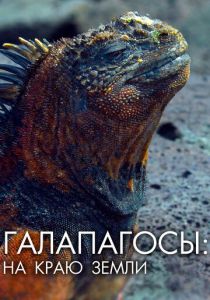 Галапагосы: На краю земли 2018 скачать торрент