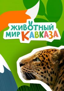 Животный мир Кавказа 2022 скачать торрент