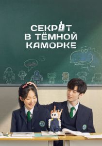 Секрет в тёмной каморке 2021 скачать торрент