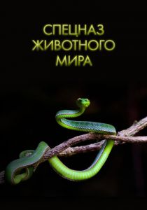 Спецназ животного мира 2018 скачать торрент