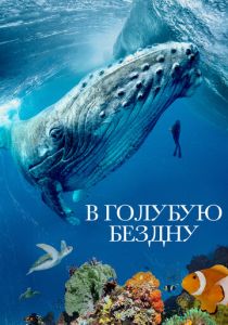 В голубую бездну 2021 скачать торрент