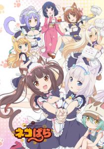 Кошачий рай 2020 скачать торрент