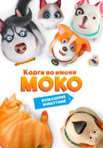 Корги по имени Моко. Домашние животные 2019 скачать торрент