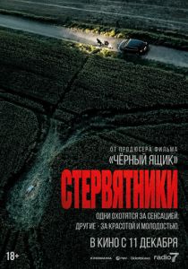 Фильм Стервятники 2025 скачать торрент